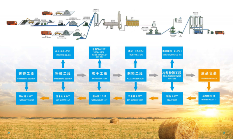 澳客  宣传册_13 - 副本.png